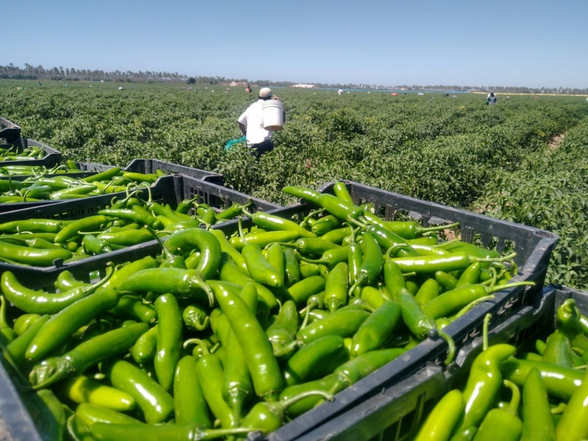 Cultura y tradiciones